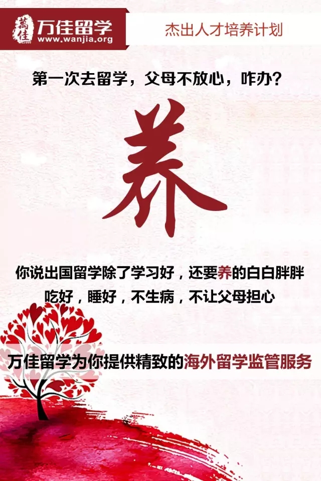 杰出人才培養計劃
